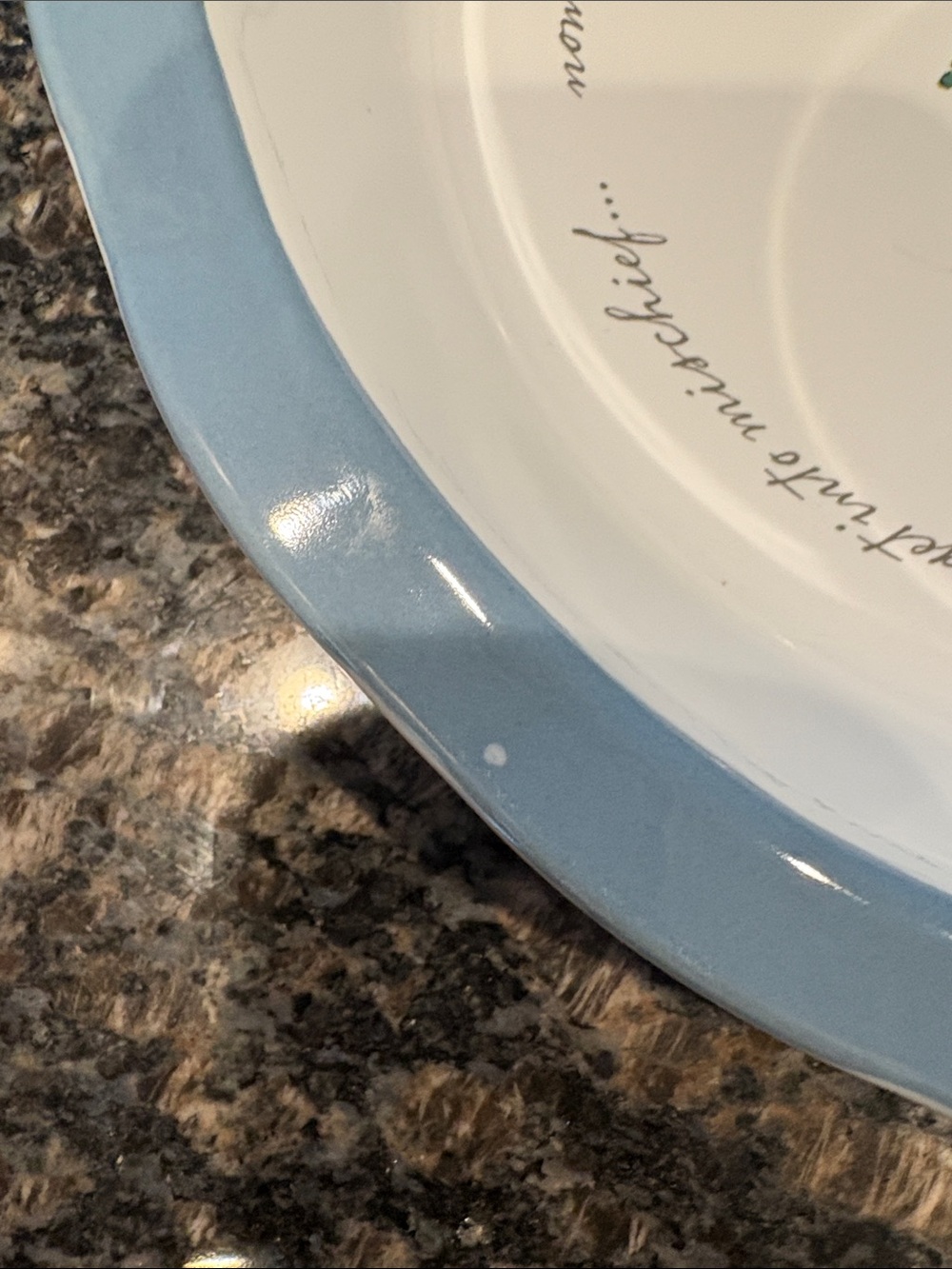 Peter Rabbit beatrix potter Frederick Warner pie plate with Light Blue Rim - Picture 2 of 8